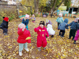 Осенняя прогулка на участке Осенняя прогулка на участке.